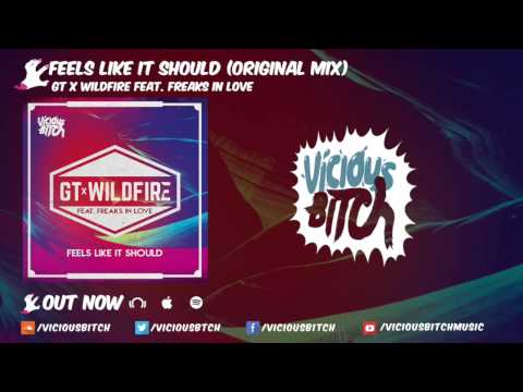 Groove Terminator — GT & Wildfire feat. Freaks In Love - Feels Like It Should (Original Mix)