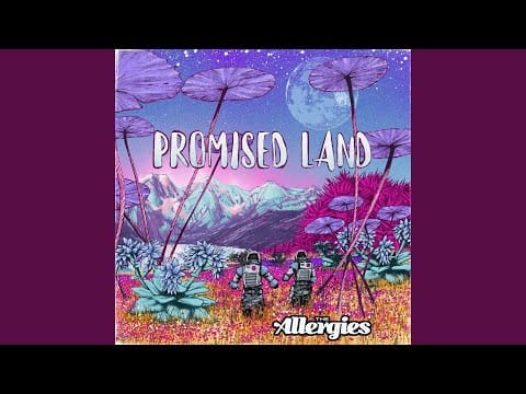 The Allergies — Promised Land