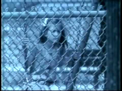 White Lion — ▶ White Lion - When the Children Cry (Official Music Video) [1989]