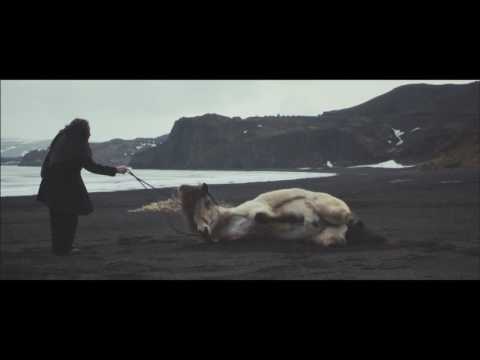 Sasha Siem — Sasha Siem - Bird Burning (Official Video)