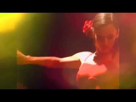 Tommy Steiner — Tommy Steiner - Die Frau am Notre Dame (La Femme au Notre Dame)
