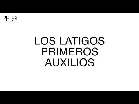 Los Látigos (2) — Los Látigos - Tachar (Primeros Auxilios)
