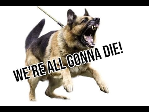 Shelf Lives — LA ELITES SPEND $150,000 ON DOGS TO PROTECT THEM FROM THE HOMELESS!!! | WE'RE ALL GONNA DIE Show