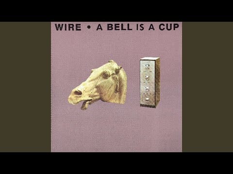 Wire — Silk Skin Paws
