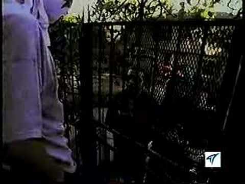 Kut Masta Kurt — KutMasta Kurt Movie feat Tick & Mike D