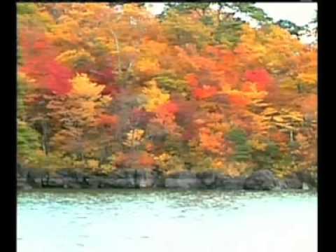 Richie Ren — 只要跟你好