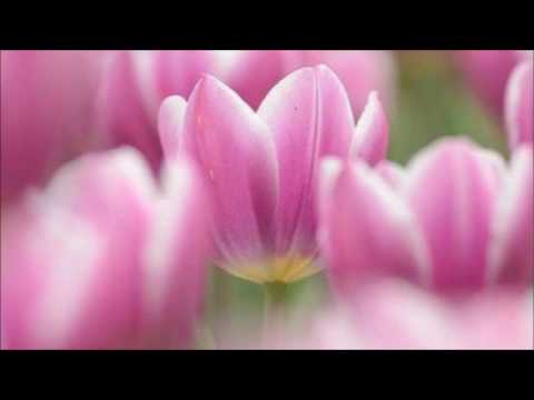 Nino Tempo & April Stevens — April Stevens & Nino Tempo ✿  Hey, Baby!