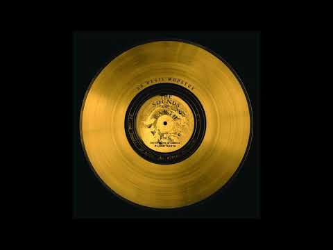 V.I.C.A.R.I. — V.I.C.A.R.I - Moy Lally In D