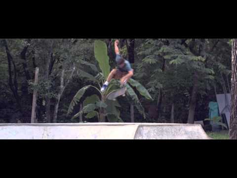 Vacationer — The Wild Life (Official Video)