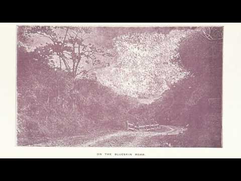 Jeff Fuccillo — Jeff Fuccillo & John Fahey - lilt of the butterfly