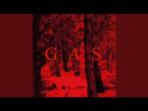 Wolfgang Voigt — Der Wald