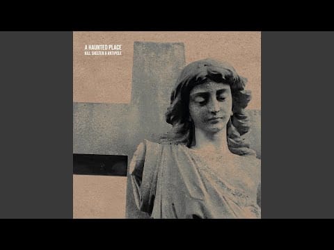 Antipole — Of Roses and Thorns
