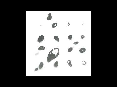 Hiroshi Tanaka (6) — 田中寛  &  不破洋一  /  Hiroshi Tanaka & Yoichi Fuwa — Untitled White Album II Bonus Track 5