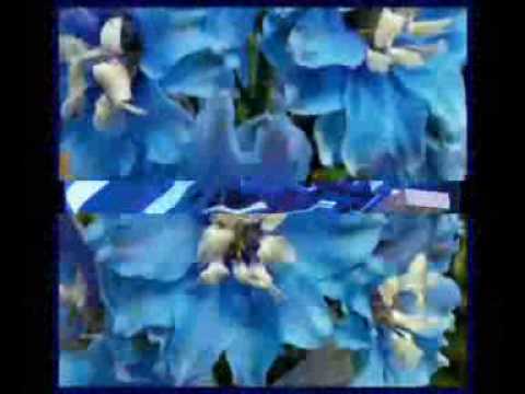 The Blue Aeroplanes — The Blue Aeroplanes - A Map Below