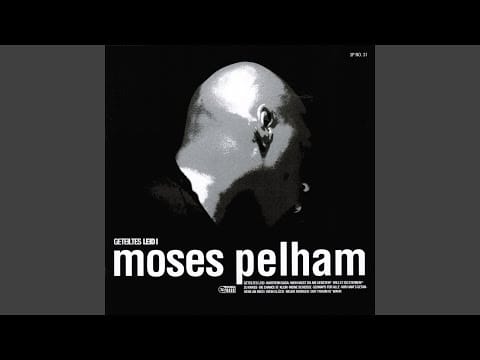 Moses Pelham — Geteiltes Leid