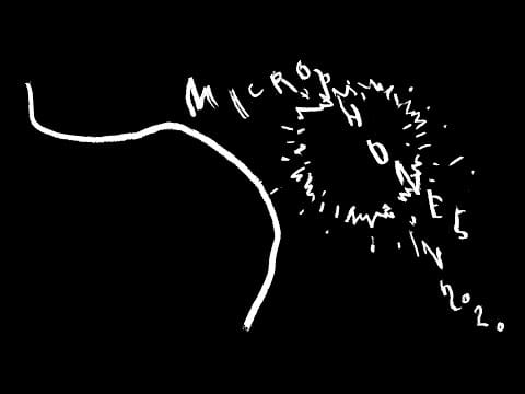 The Microphones — the Microphones - Microphones in 2020