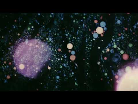 The WAEVE — Simple Days (Official Visualiser)