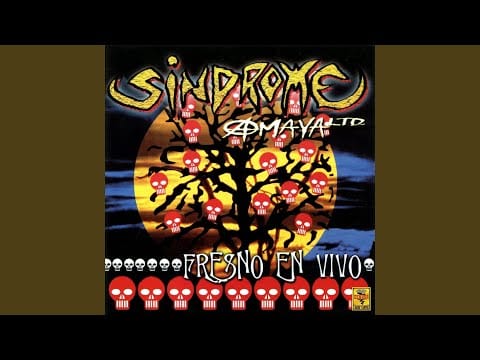 Síndrome Del Punk — Desórden Público (En Vivo)