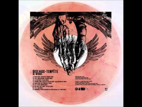 Oiseaux-Tempête — Oiseaux-Tempête - Opening Theme (Ablaze in the Distance) (Dag Rosenqvist remix)