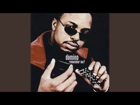 Domino — Chocolate Chip