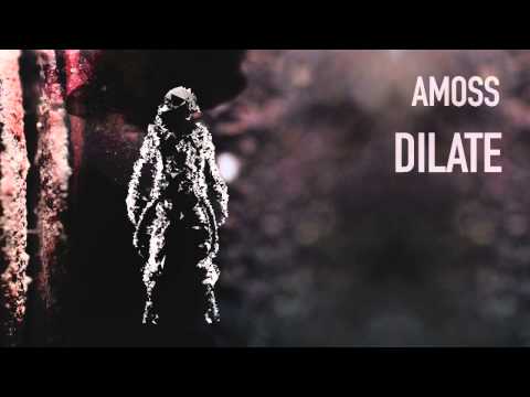 Amoss — Amoss - Dilate