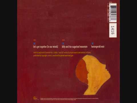 Gorky's Zygotic Mynci — Gorky's Zygotic Mynci - Billy And The Sugarloaf Mountain