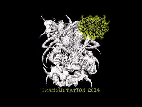 Internal Devour — Internal Devour - Transmutation [Full Promo 2014]