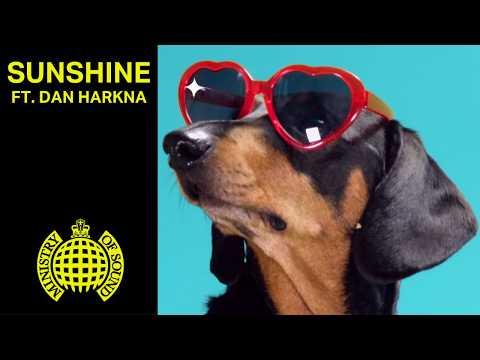 TIEKS — TIEKS - Sunshine feat. Dan Harkna (Official Video)