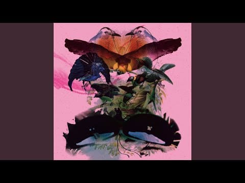 Leon Vynehall — Paradisea