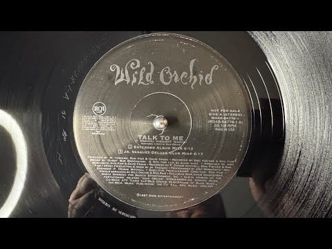 Wild Orchid — Wild Orchid – Talk To Me (Extended Album Mix) - RCA – RDAB-64778-1 (1997)