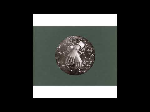 aspidistrafly — aspidistrafly - Dear Sylvan