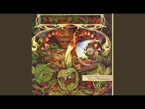 Spyro Gyra — It Doesn't Matter