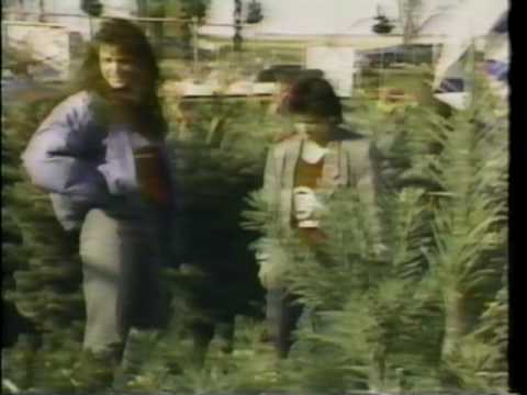 Bob Rivers Comedy Corp — Bob Rivers Comedy Corp - The Twelve Pains Of Christmas (HQ)