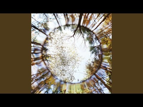 Martin Duffy — The Very Eye Of Night