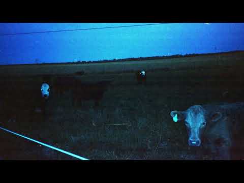 waveform* — waveform* - “Antarctica” (Official Audio)