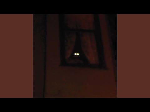 Thee Oh Sees — Man in a Suitcase