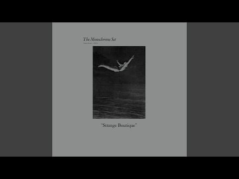 The Monochrome Set — Expresso
