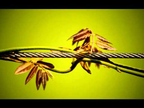 Michael Franti And Spearhead — Rock the Nation - Michael Franti (Stay human)