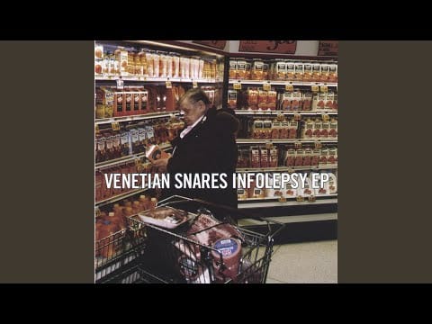 Venetian Snares — twelve