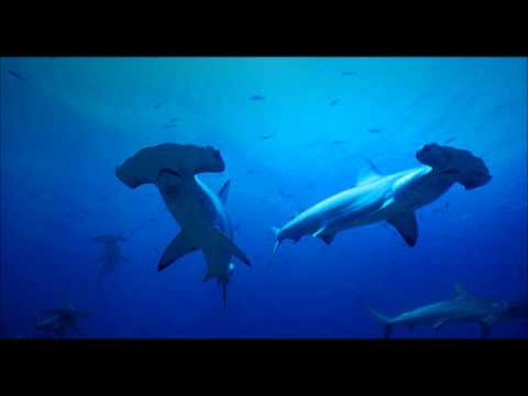 Rebecca Stella — Rebecca Stella - Give Me That O (DJ Skeet Skeet Remix).wmv