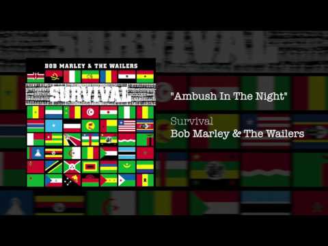 Bob Marley & The Wailers — Ambush In The Night (1979) - Bob Marley & The Wailers