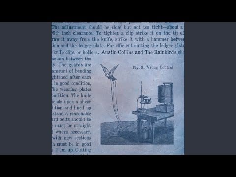 Austin Collins & The Rainbirds — Wrong Control