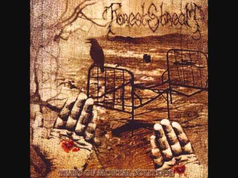 Forest Stream — Forest Stream - Legend