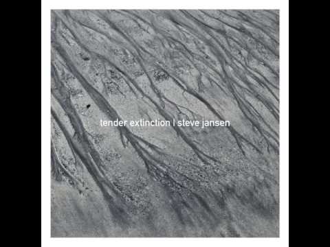 Steve Jansen — Steve Jansen feat. Perry Blake - Her Distance