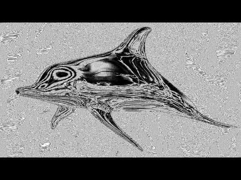 Soft As Snow — Soft as Snow - Tropical Speed