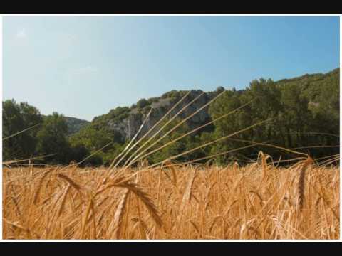 Gorky's Zygotic Mynci — Gorky's Zygotic Mynci - Country
