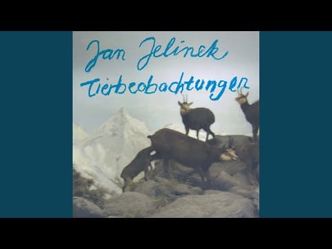 Jan Jelinek — The Ballad Of Soap Und: Die Gema Nimmt Kontakt Auf