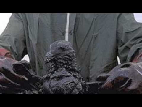 Terry Callier — darker than a shadow- terry callier