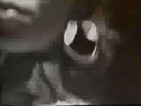 Ziggy Marley And The Melody Makers — Ziggy Marley & The Melody Makers - Tumblin Down