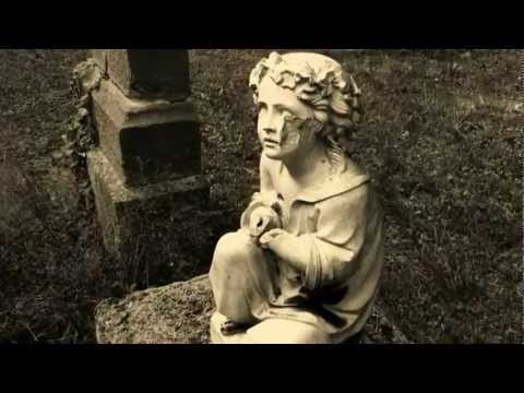 Diary Of Dreams — DIARY OF DREAMS ~ Tears Of Laughter
